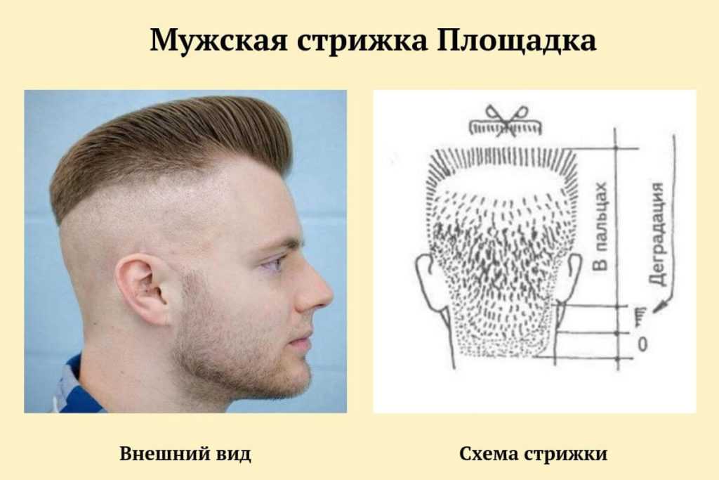 Мужская Прическа Онлайн Подобрать Бесплатно