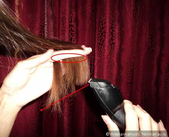Полировка волос в домашних условиях: подробные инструкции