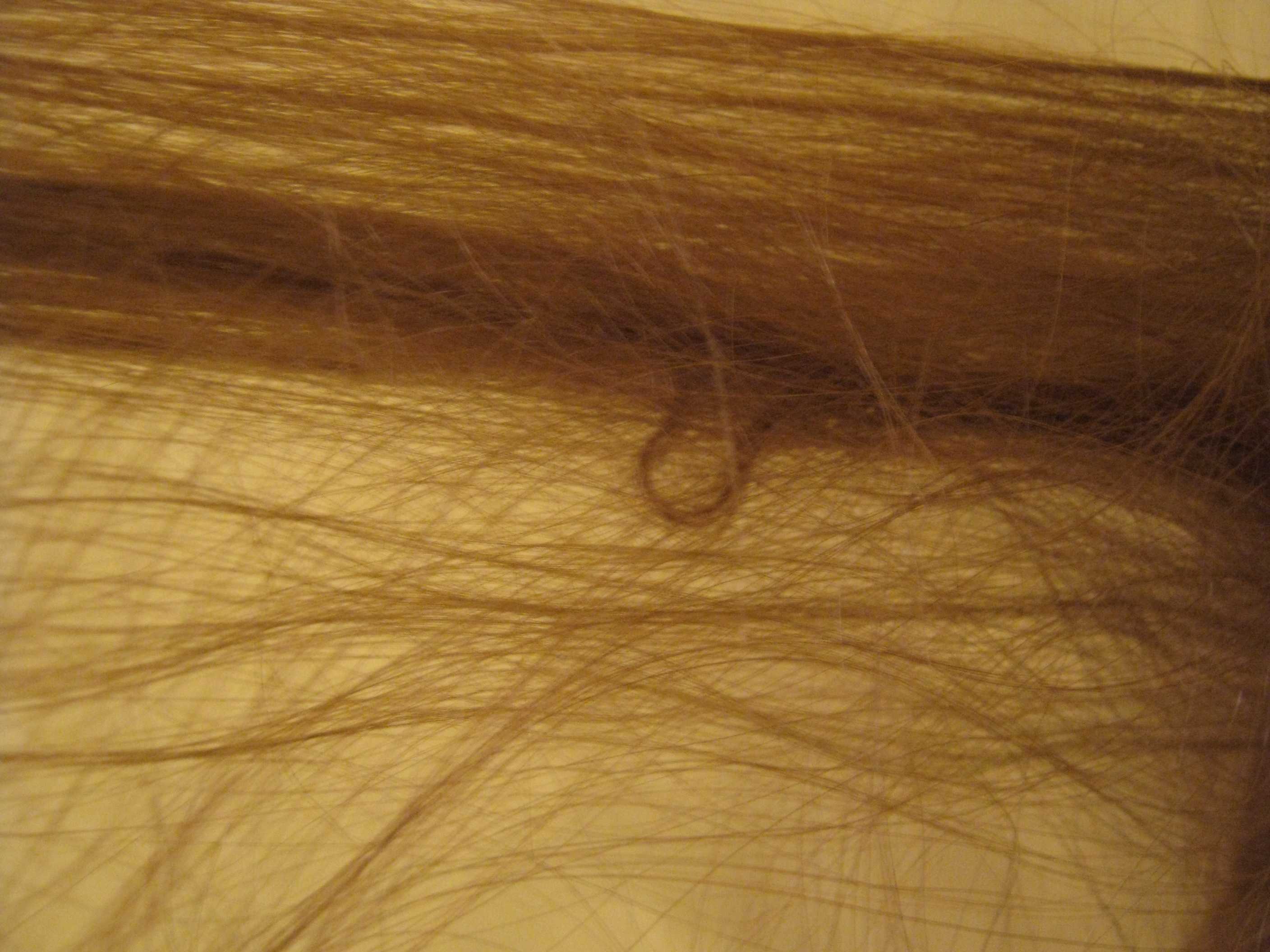Сильно путаются волосы. Узелки на волосах. Волосы запутываются в узелки.