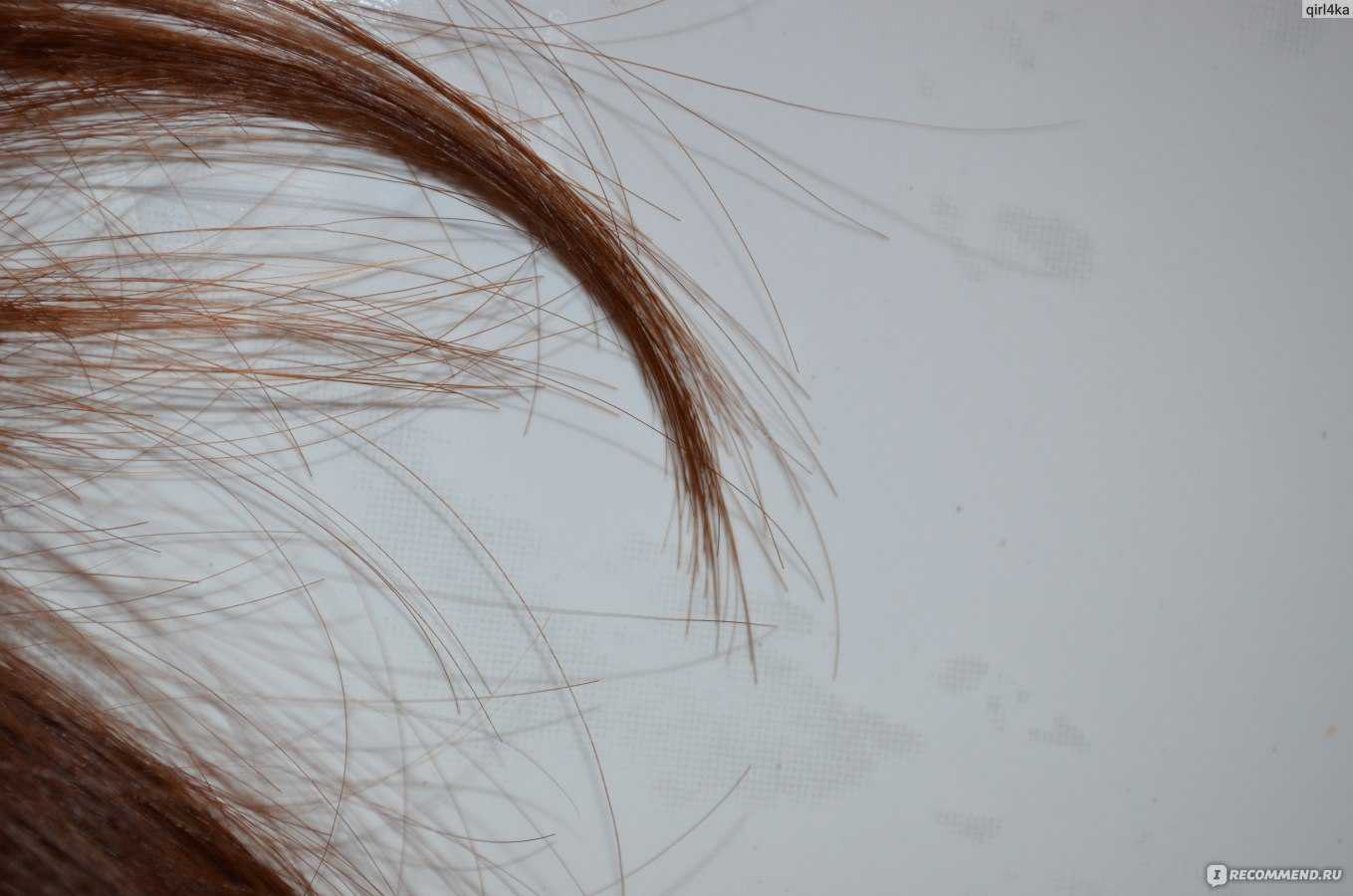 Вопрос дня: почему секутся волосы?
