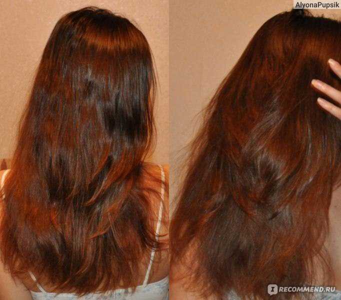 Хна для окрашивания волос – польза или вред