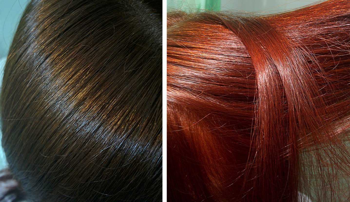 Окрашивание волос хной: польза и вред для волос, отзывы и результаты