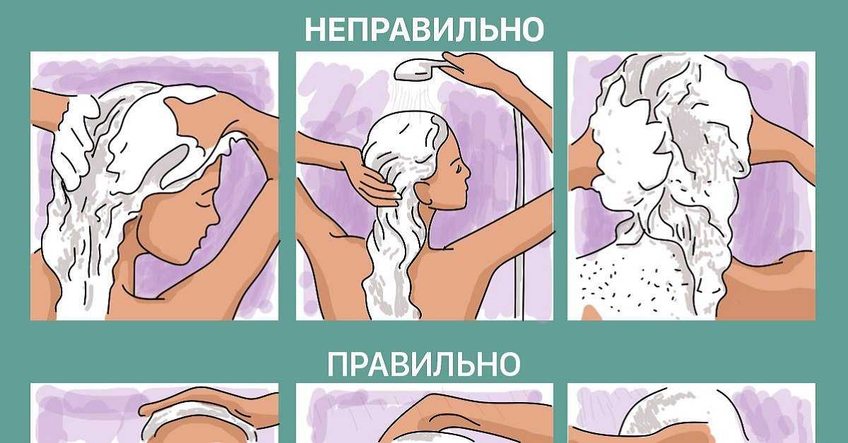 Ухоженные волосы в домашних условиях — как правильно мыть голову