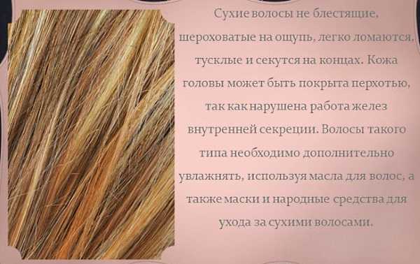 Основные типы волос