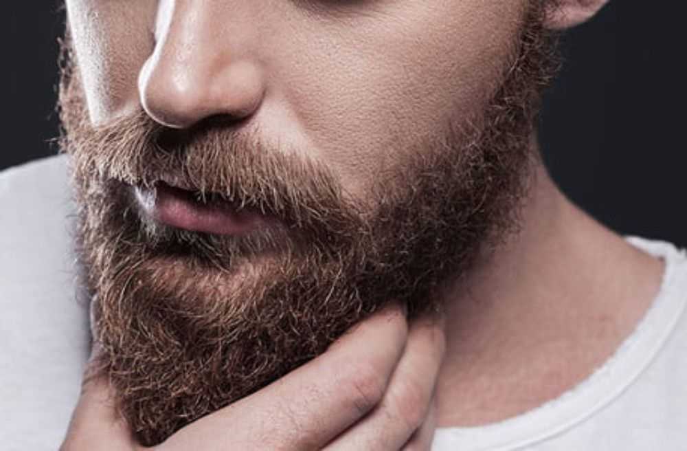 Выбор бороды по типу лица: рекомендации и фото