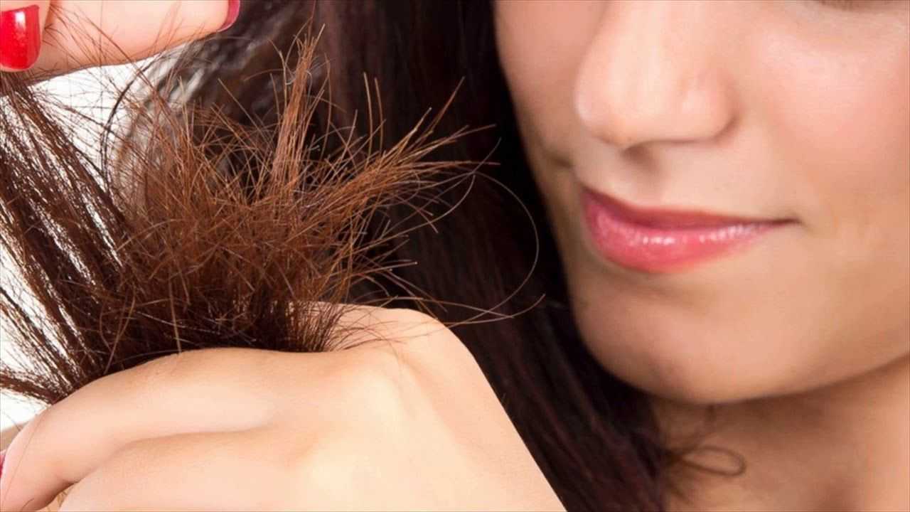 Расчески и машинки для удаления секущихся кончиков волос: фото, характеристики приборов и эффект процедуры