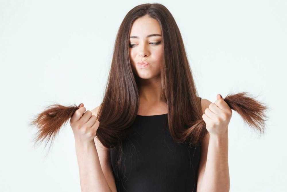 Почему секутся волосы и как их лечить?