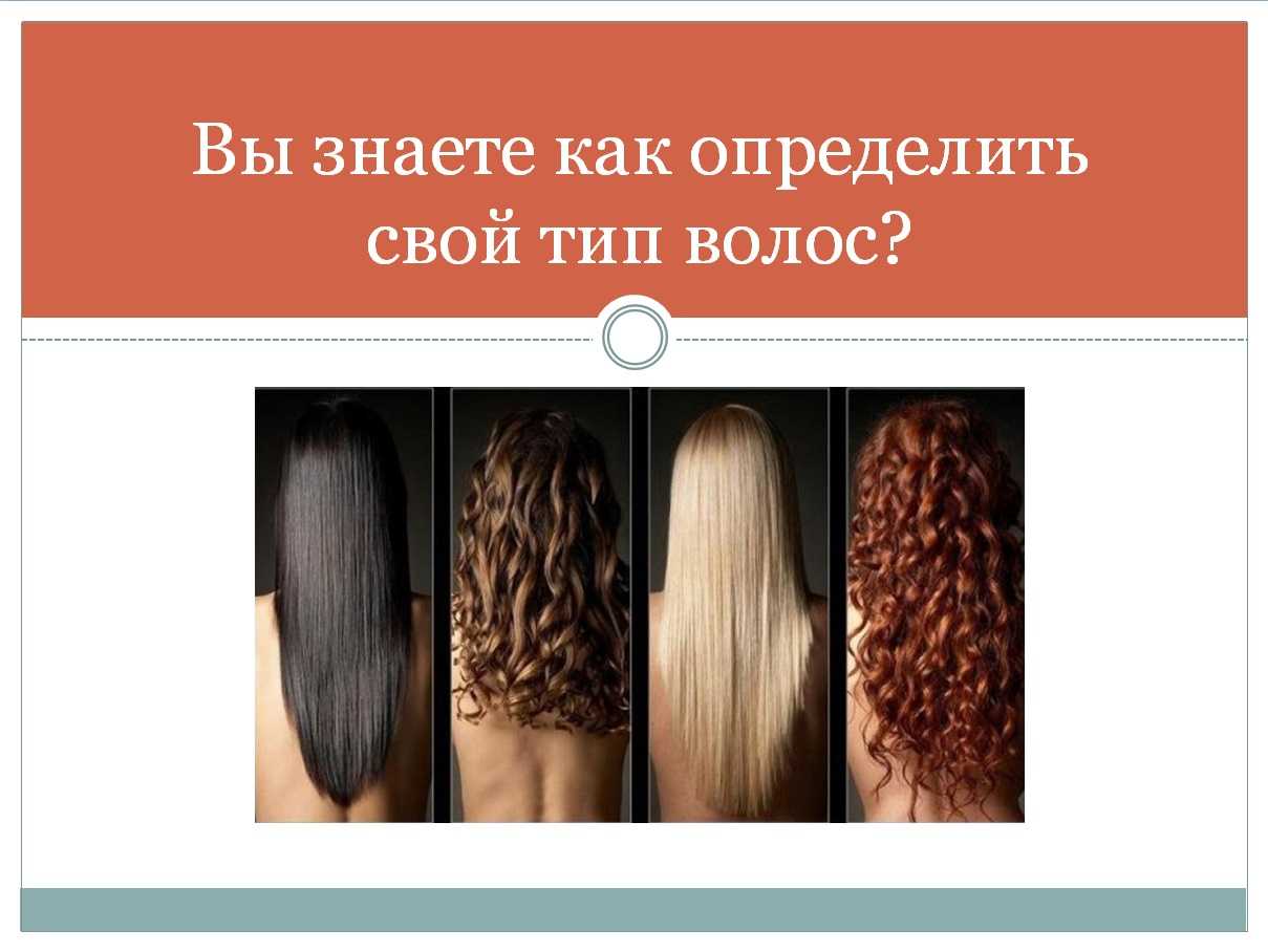 Особенности и признаки сухих и жирных волос: как определить свой тип