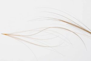 Здоровье волос: как ухаживать и что влияет на их состояние