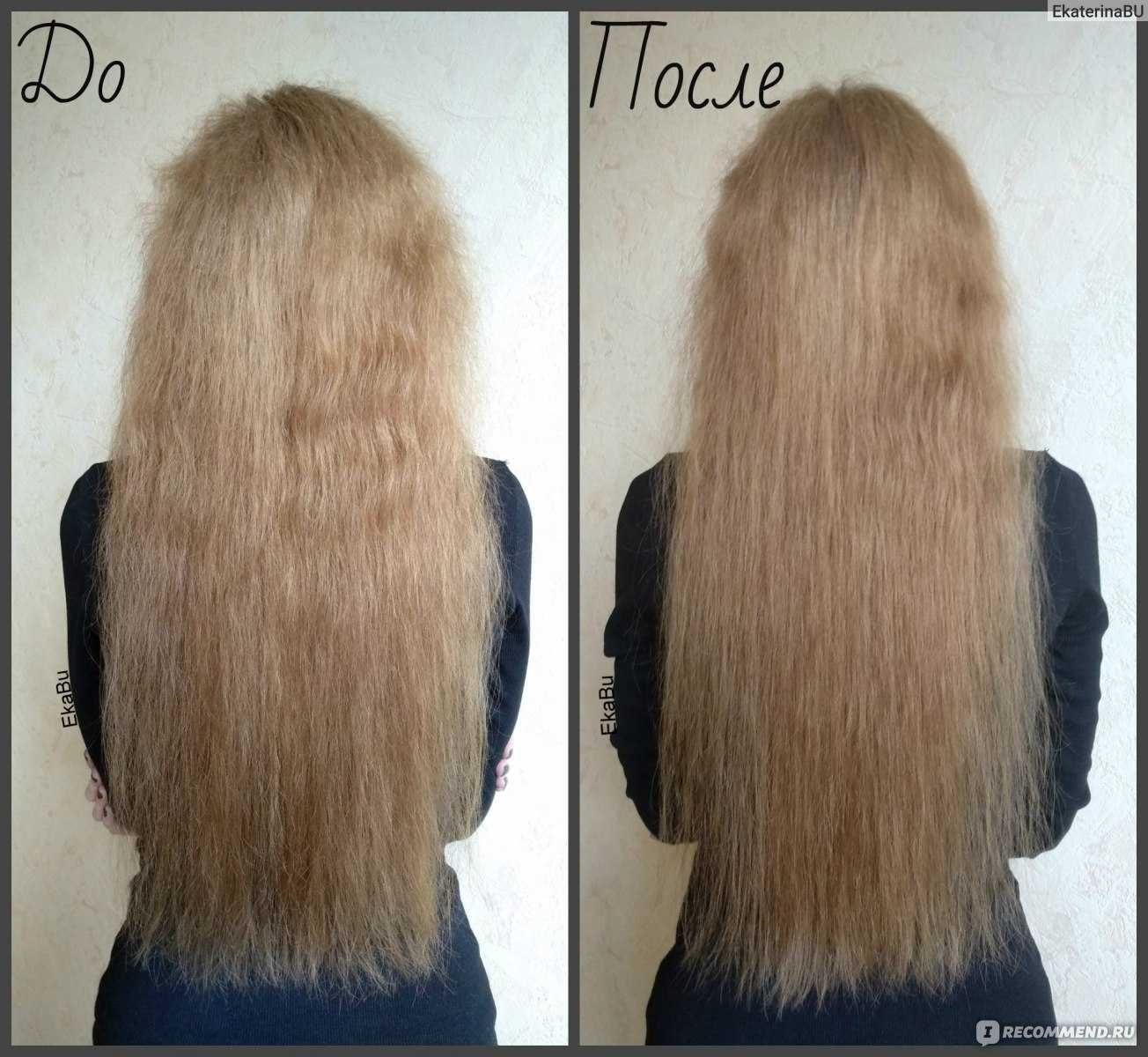 Очень сухие волосы — что делать? особенности ухода за проблемными локонами