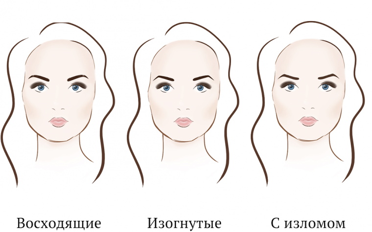 Форма идеальных бровей по типу лица. как подобрать форму бровей к разным типам лица