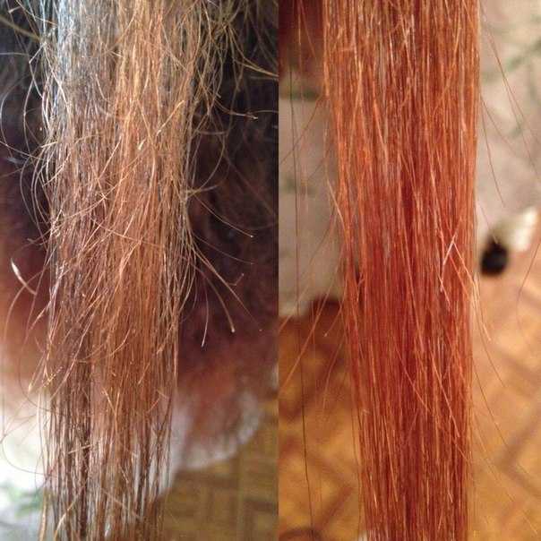 Почему секутся волосы. основные причины и что делать
