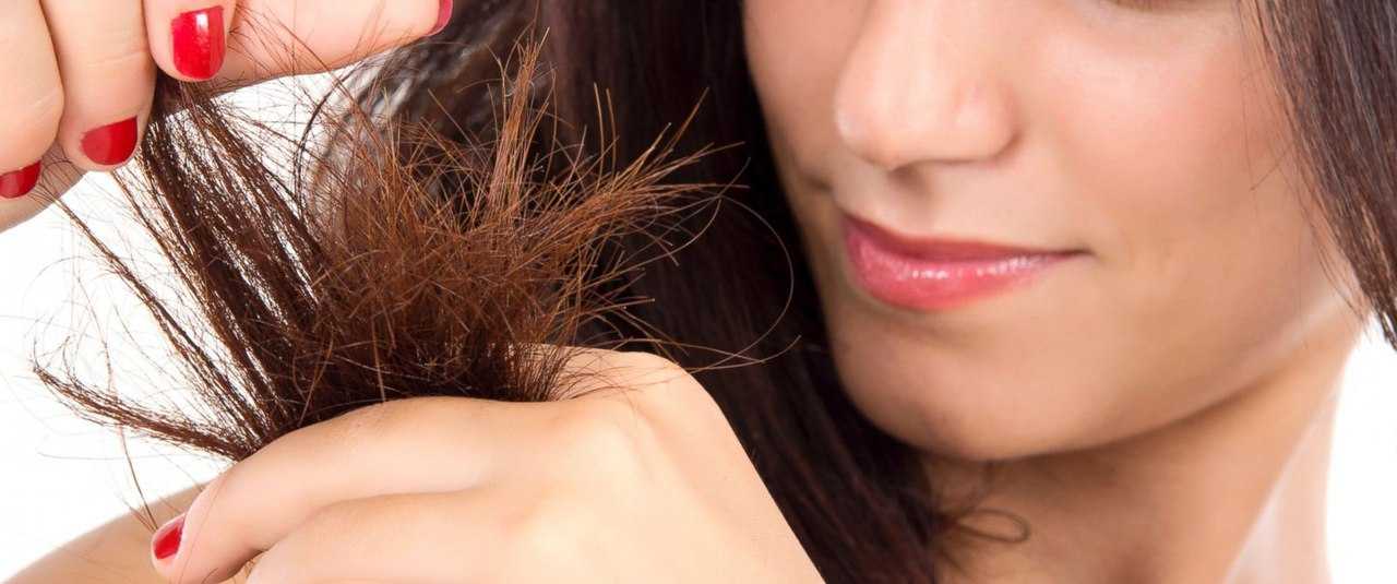 Почему секутся волосы и что делать