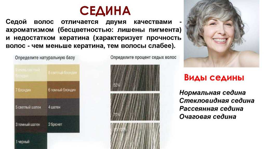 Предпигментация седых волос: в чем суть процедуры, отзывы, инструкция по проведению, при какой седине лучше всего подойдет