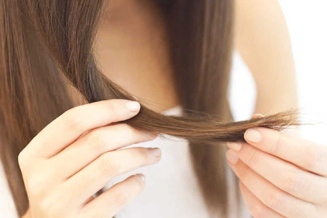 Как правильно лечить секущиеся волосы дома
