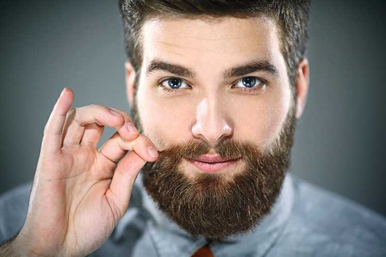 Формы и виды бород у мужчин: описание, особенности, правила выбора
