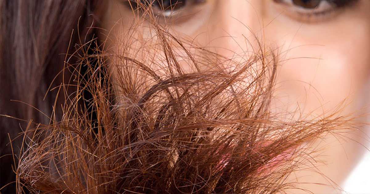 Сильно секутся волосы что делать?