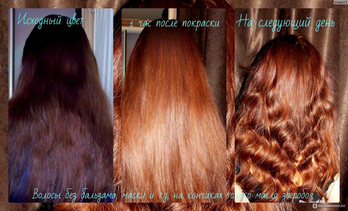 Хна — натуральный краситель для волос. отзывы, польза и вред
