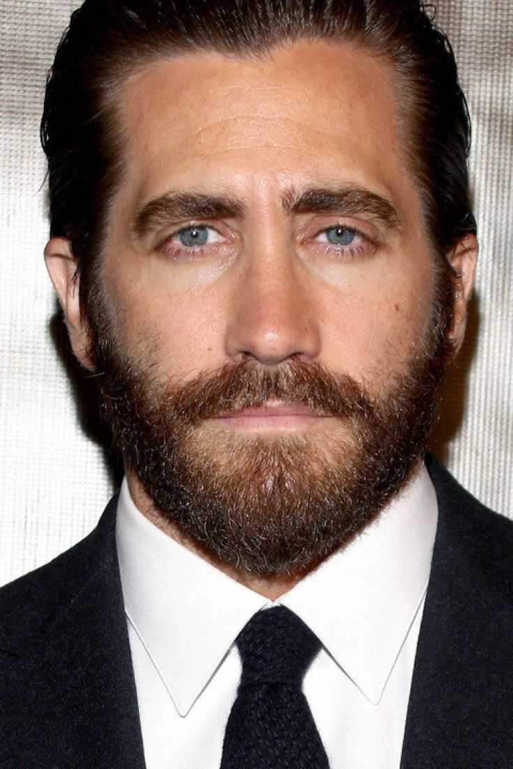 Голливудская борода (бретта) — что это, как правильно сделать стрижку