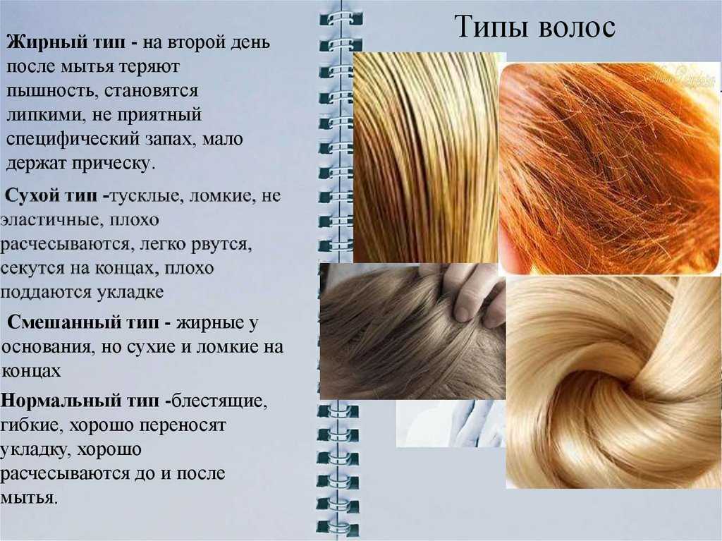 Типы волос, их особенности и методы ухода за волосами