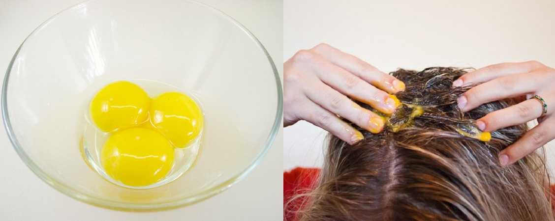 О пользе мытья волос куриным яйцом – как мыть и полоскать волосы