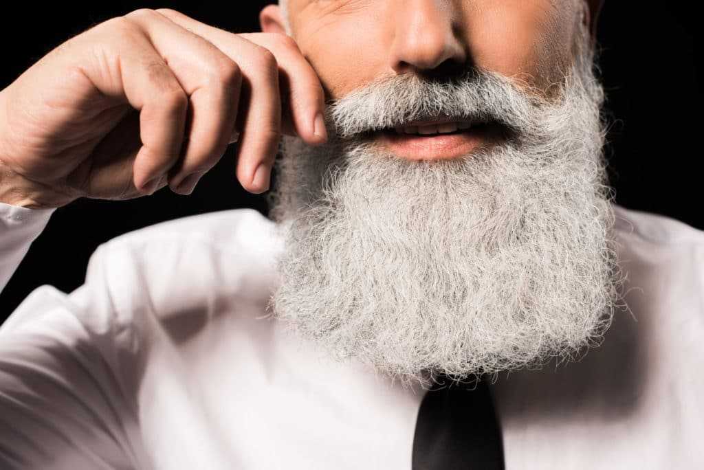 Седая борода у мужчин (15 фото): причины и что делать