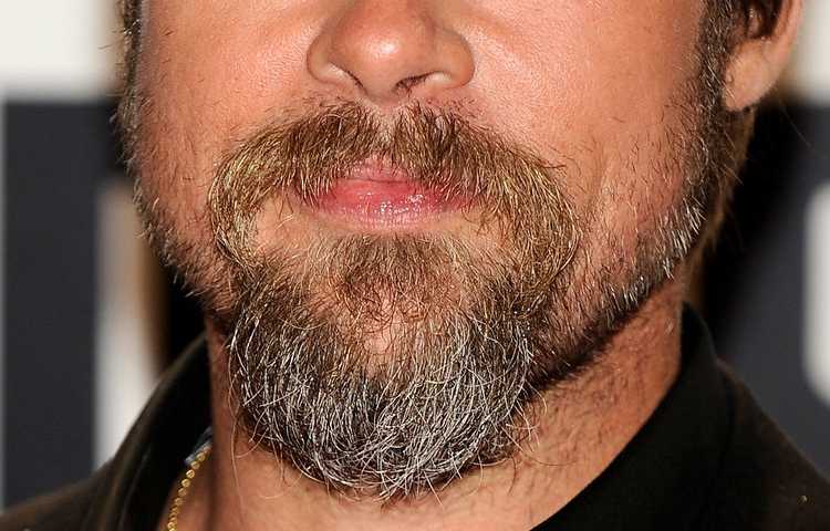 Быть экстравагантным мужчиной: борода эспаньолка. виды и фото
