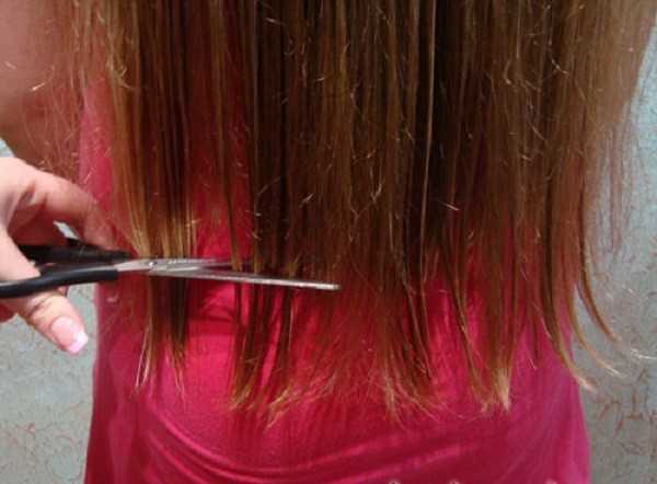 Как подровнять кончики волос машинкой, ножницами своими руками в домашних условиях