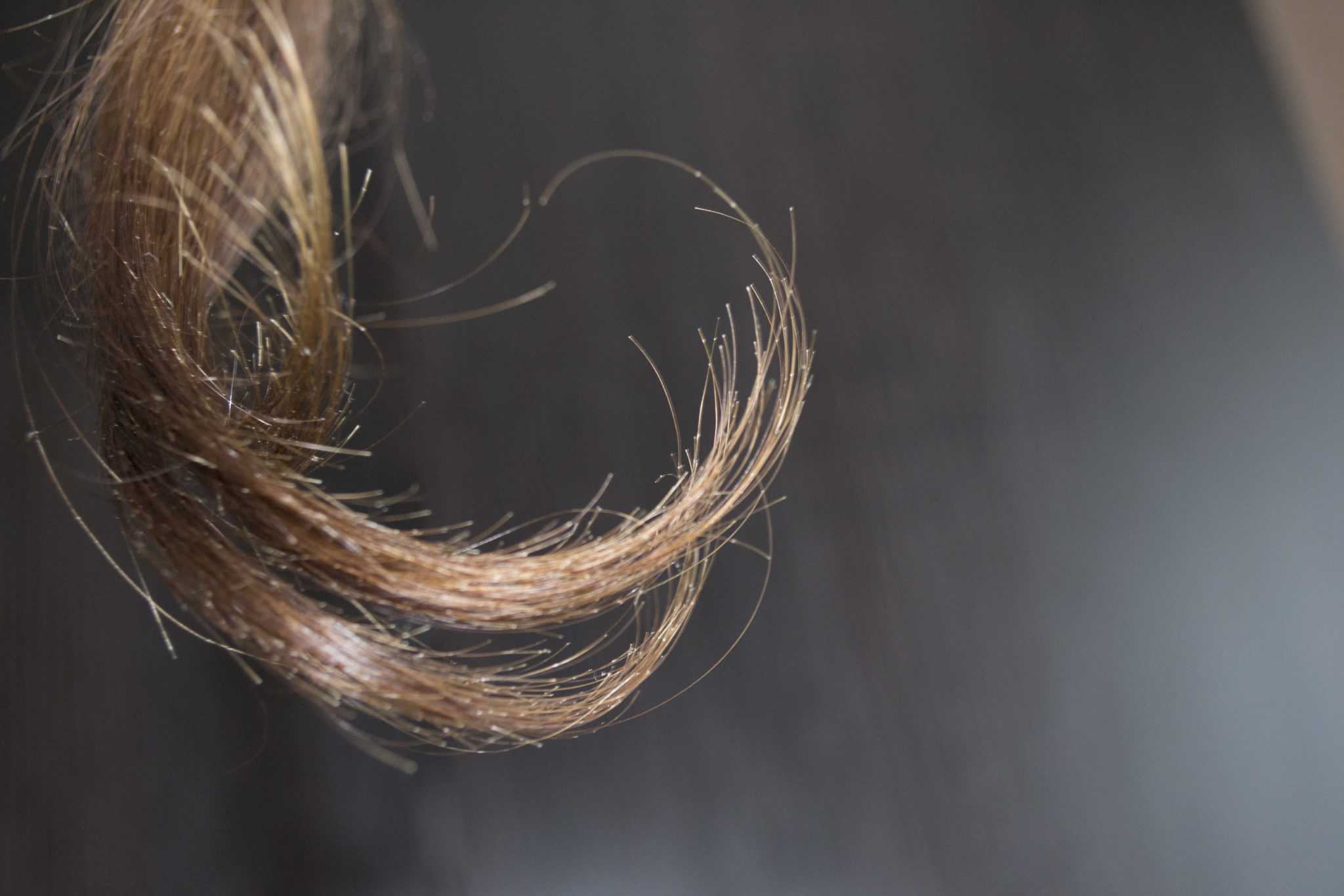 Сильно секутся волосы что делать?