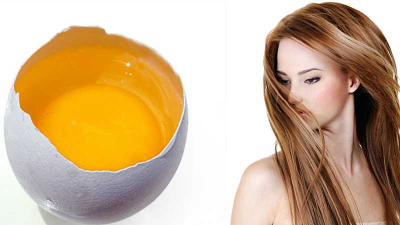 Как мыть голову яйцом правильно: советы и рекомендации