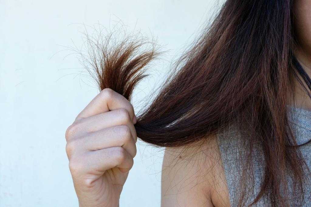 Почему секутся волосы - что делать, причины, домашние средства