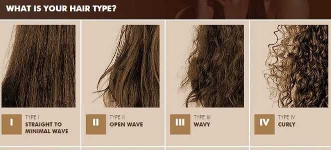 Как определить тип волос: полезные советы