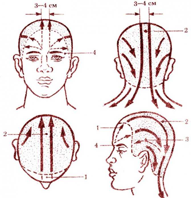 Как правильно делать массаж головы для роста волос: различные техники исполнения руками и дополнительными средствами. массаж с солью
