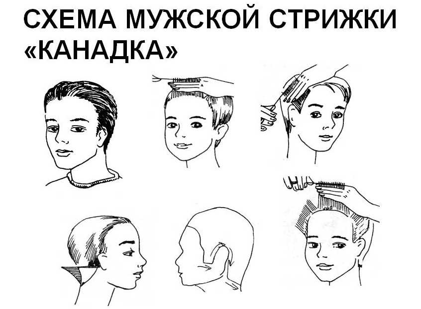 Стрижки для тонких волос - 180 фото и секреты укладки
