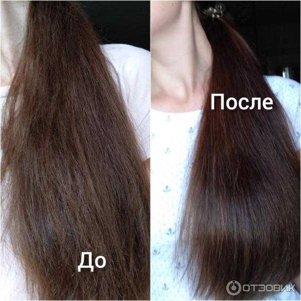 Какие бальзамы для волос лучше syoss или natura siberica