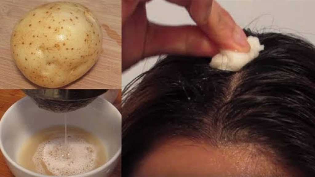 Маска для волос из яйца и водки для жирных волос