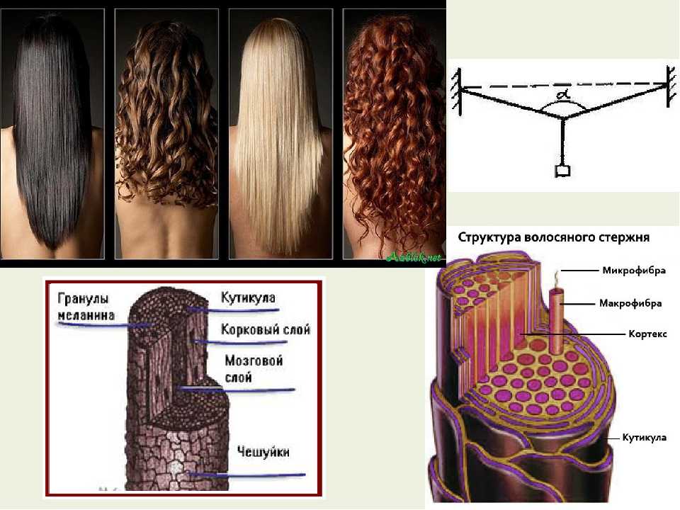 Что такое серицирование волос