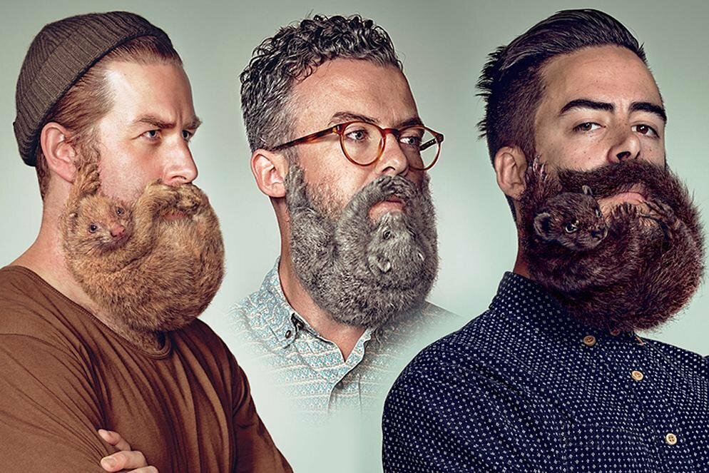 Тренды из барбершопа: самые модные бороды 2019