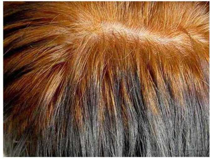 Закрасит седину хна или нет? особенности применения натуральных красителей на седые волосы