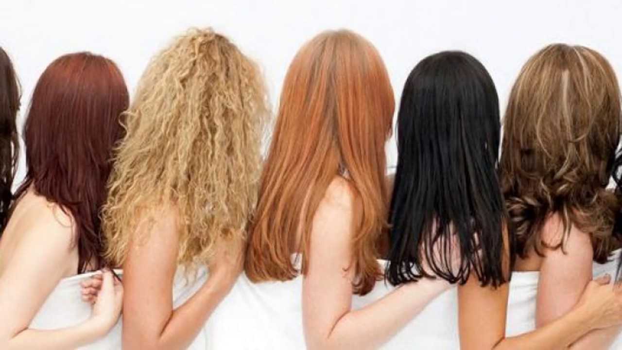 Типы волос: какой у меня, нормальный, жирный или сухой? как определить?