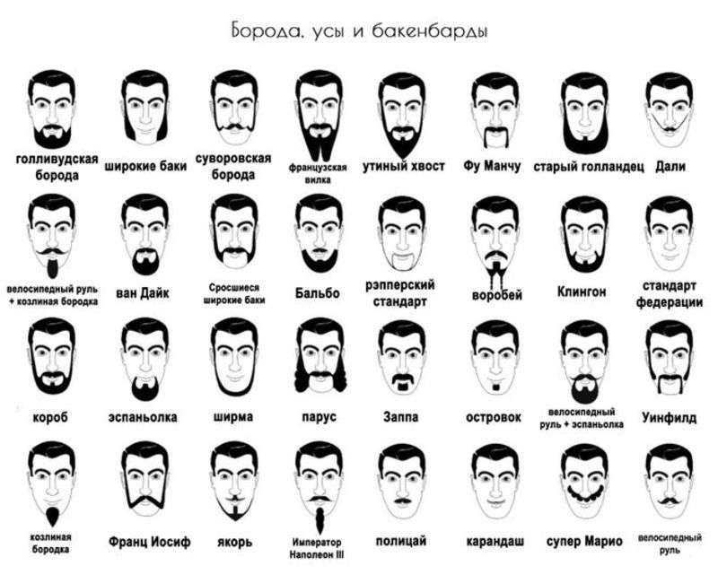 Правильная длина для вашей бороды
