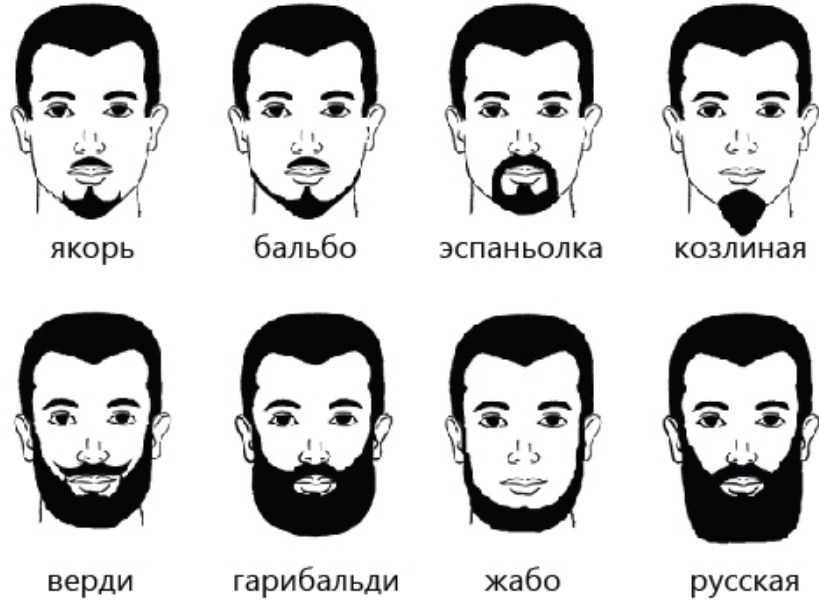 Форма бороды у мужчин по типу лица
