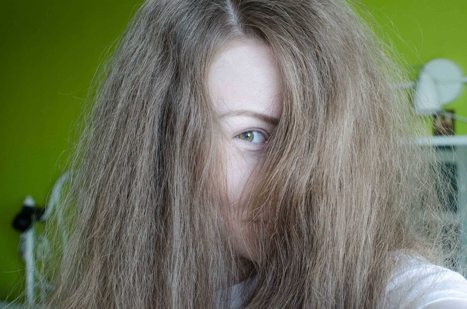 Сухие кудрявые волосы — что делать? топ-10 средств