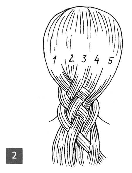 Идеи и схемы для плетения кос из 5 прядей