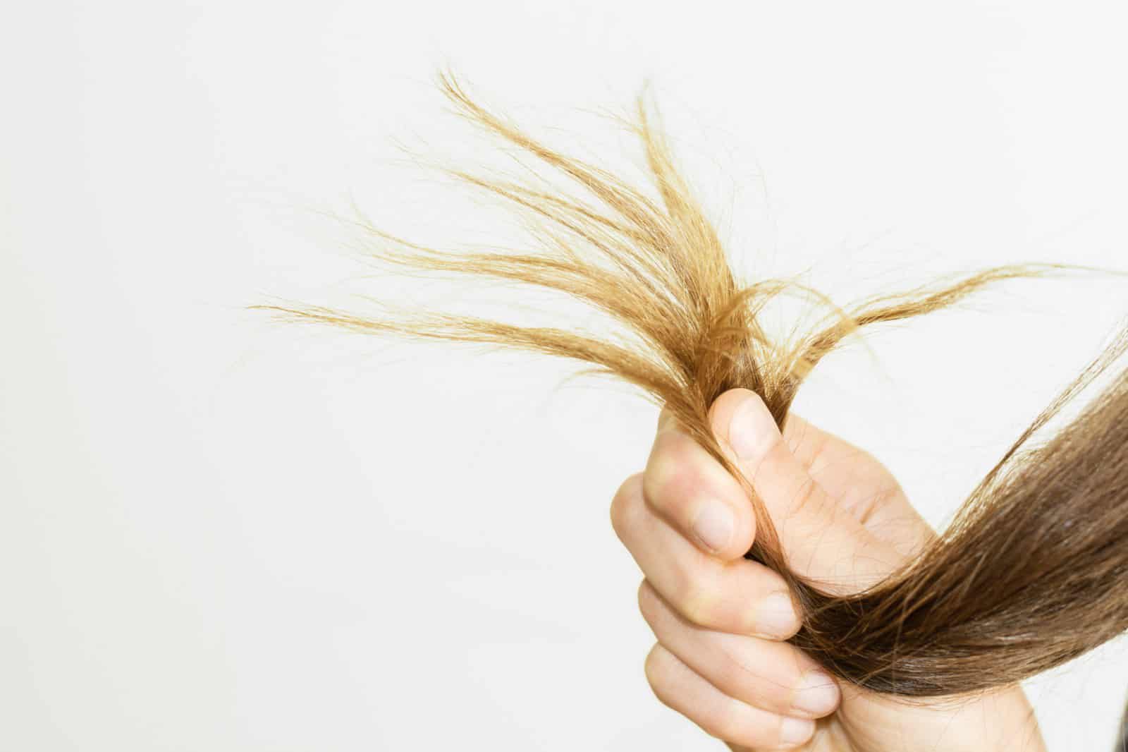 Как хорошо подпитать кончики волос