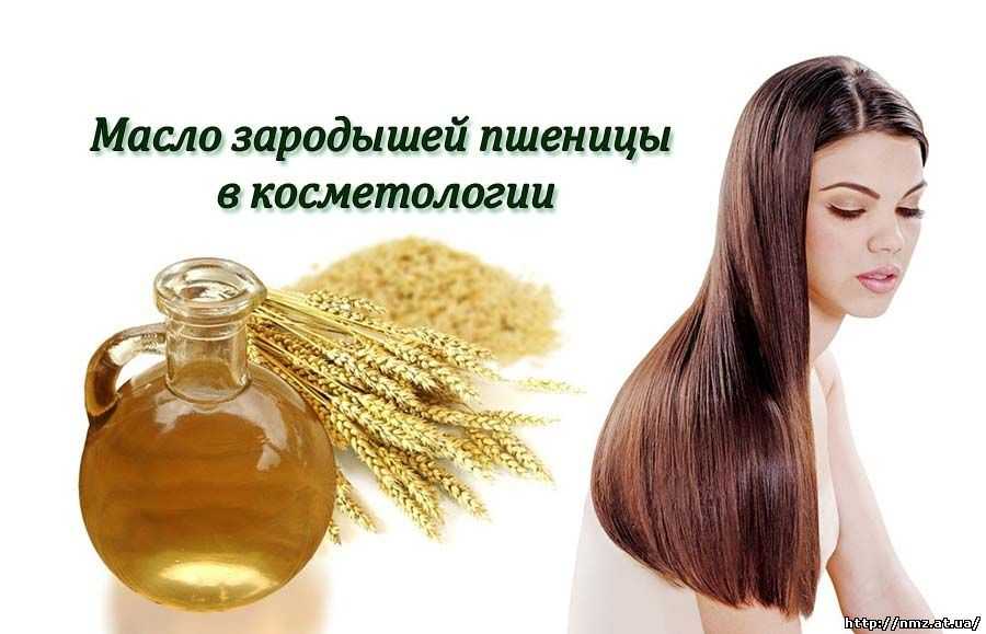 Как использовать масло зародышей пшеницы для роста волос