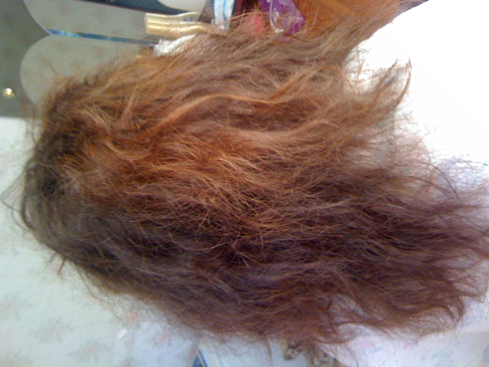 Восстановить сожженные волосы в домашних. Сожженные волосы. Испорченные волосы. Стрижка на сожженные волосы. Испорченные волосы после окрашивания.