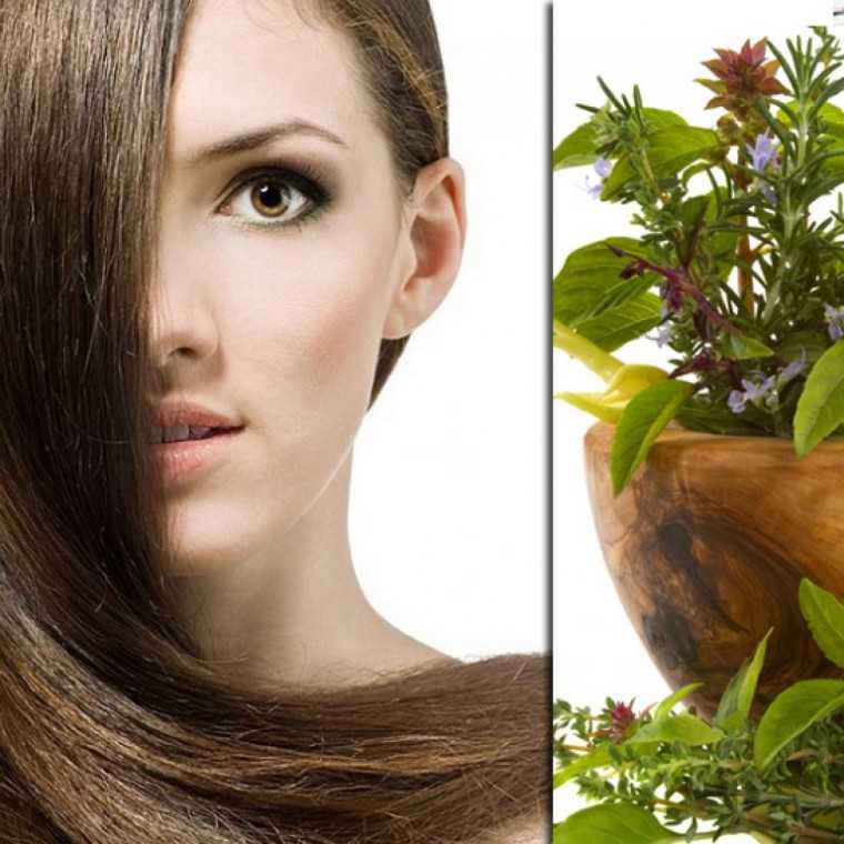 Травы для роста и укрепления волос в домашних условиях: список самых полезных лекарственных трав, рецепты травяных масок и ополаскиваний для ускорения роста и густоты волос