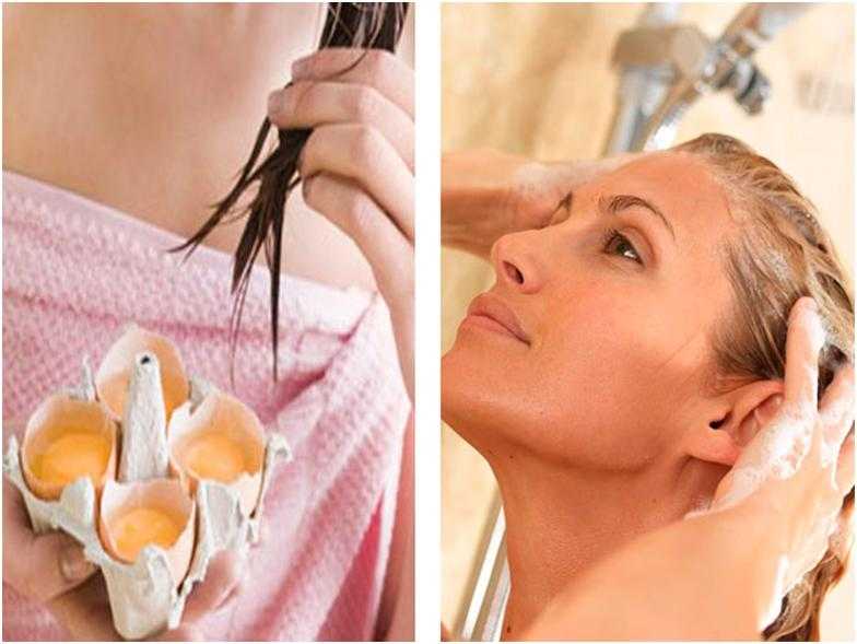 Яйцо для волос – 5 важных советов для эффективного применения