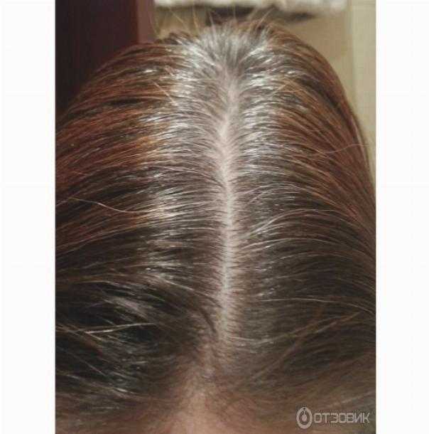 Басма для волос: польза и вред, как покрасить волосы басмой?